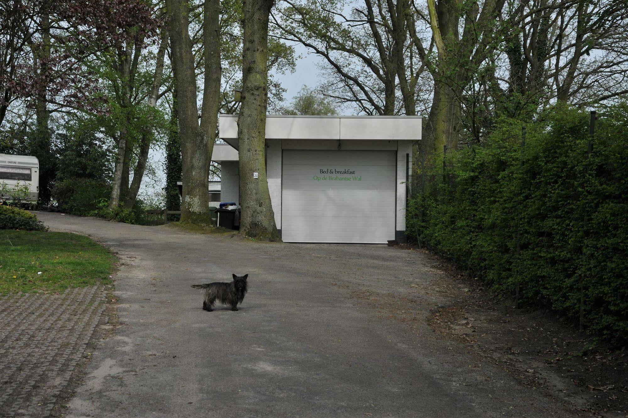 Op De Brabantse Wal Bed & Breakfast